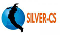 ERP CRM Silver cs